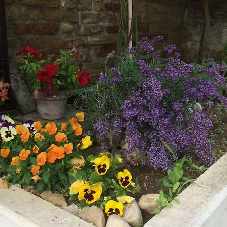 לינה וארוחת בוקר La 3*