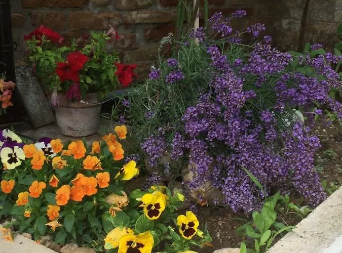 Oda ve Kahvaltı La 3*